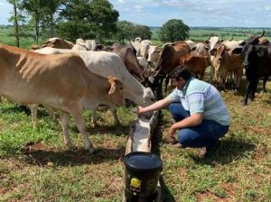 A gestão no campo passa a ser prioridade